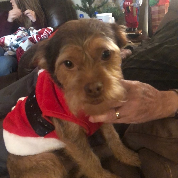 Meet your Posher - Picture 8 of 9